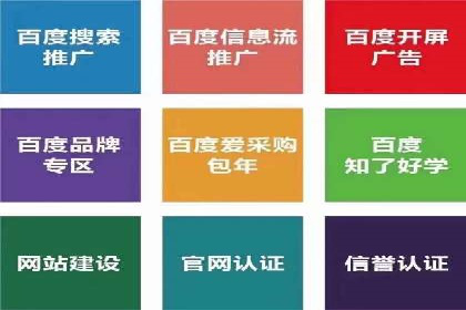 SEM代运营案例分析：精准投放策略解析